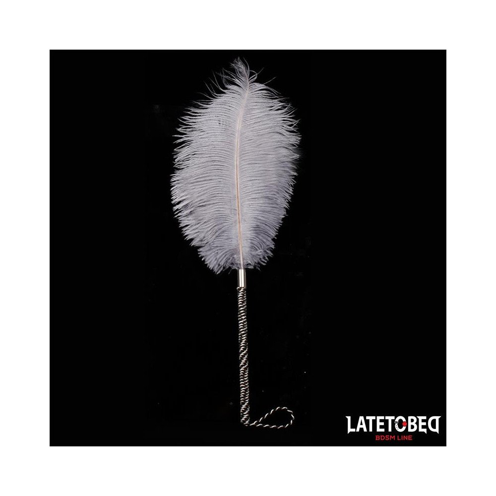 Pluma Estimuladora 44 cm