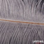 Pluma Estimuladora 44 cm