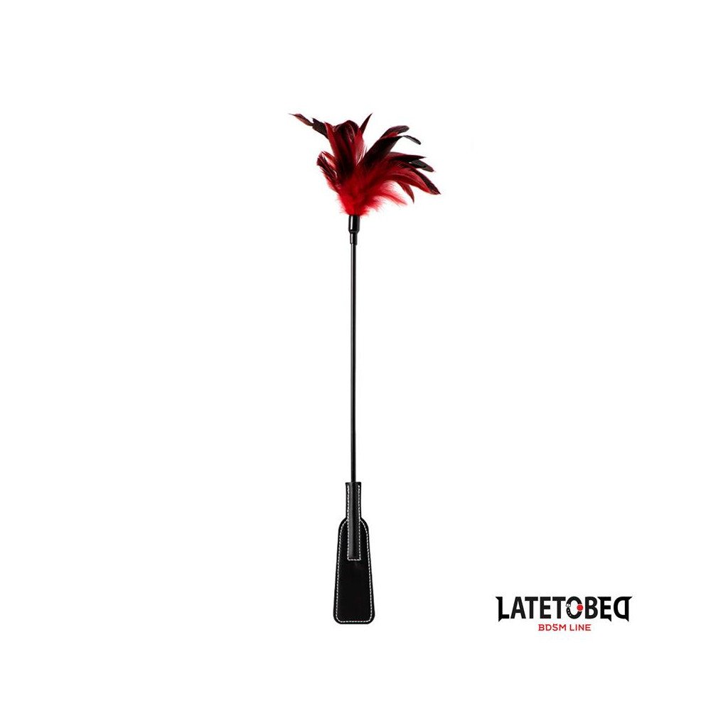 Pala con Plumas 2 en 1